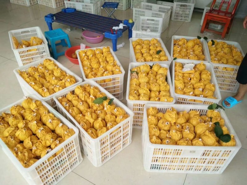 富硒水果，朝贡品质，你值得购买。