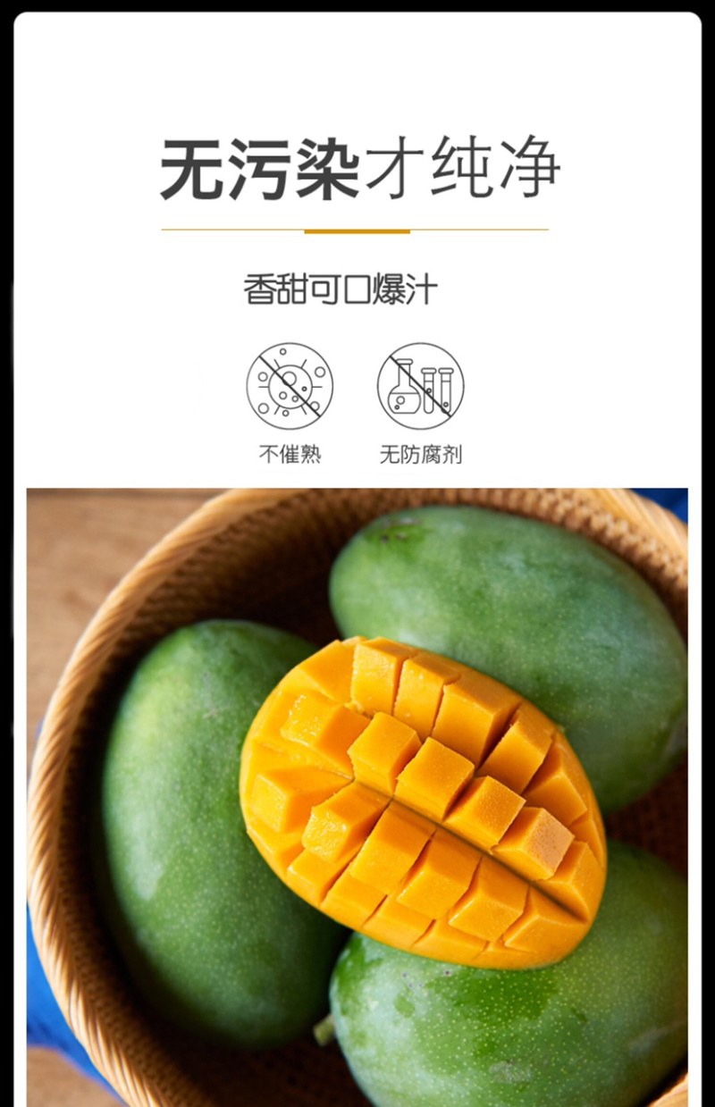 攀枝花特产水果中的bos凯特