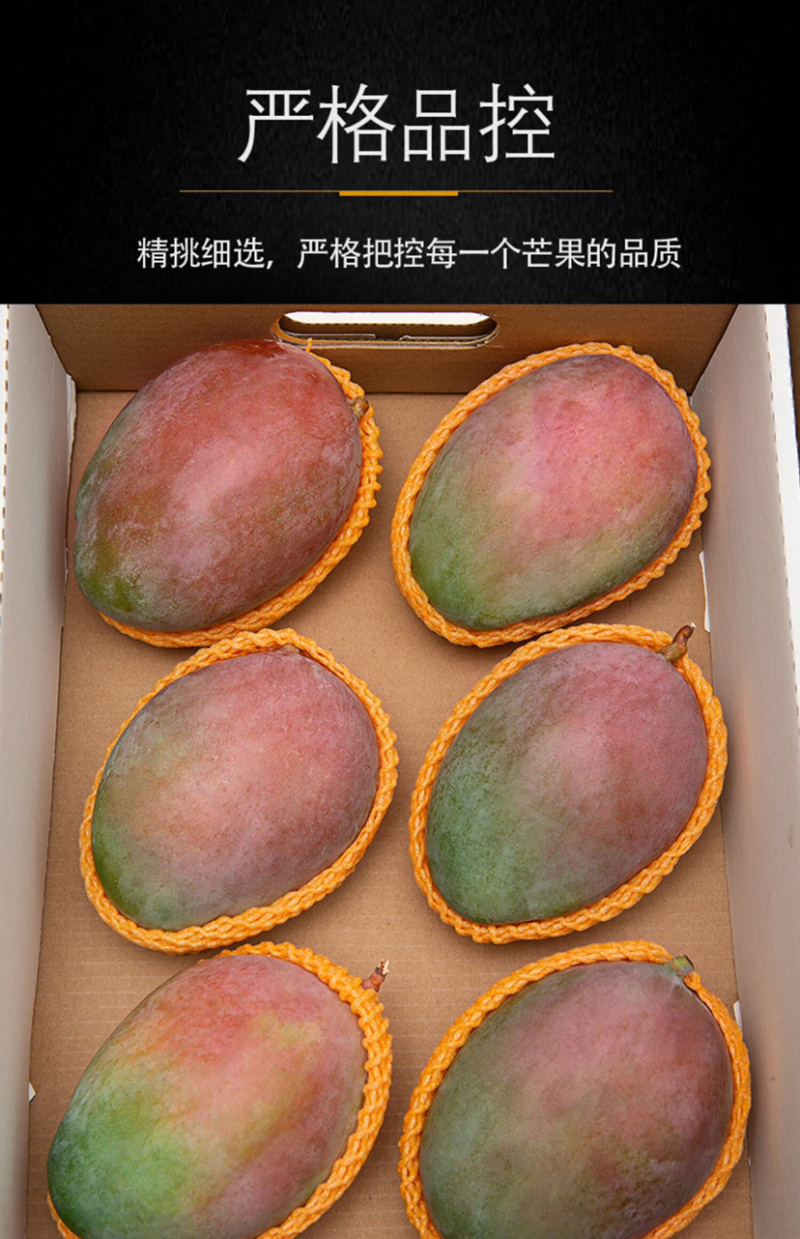 攀枝花特产水果中的bos凯特