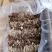 五号菇茶树菇不开伞全国批发包邮
