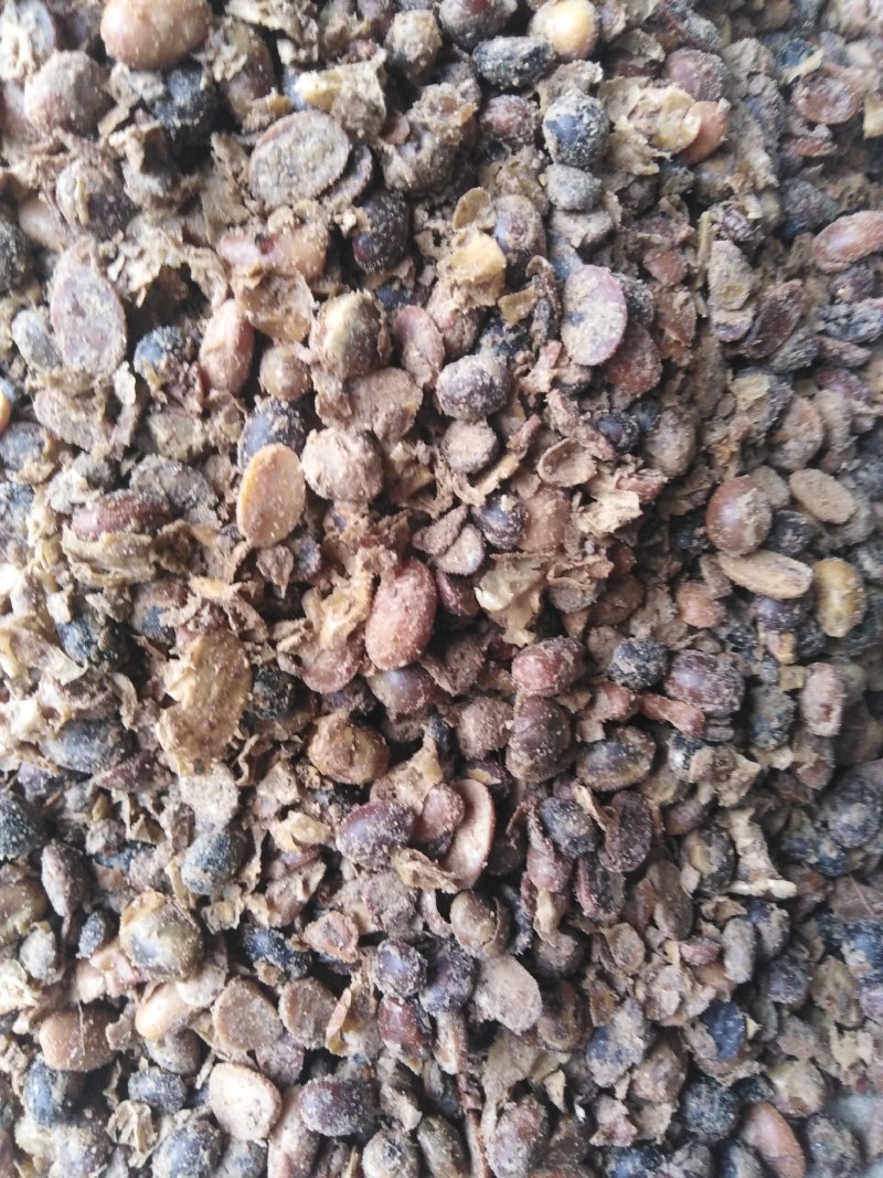发酵大豆深度发酵富含芳香风味物质，提高品质与产量!