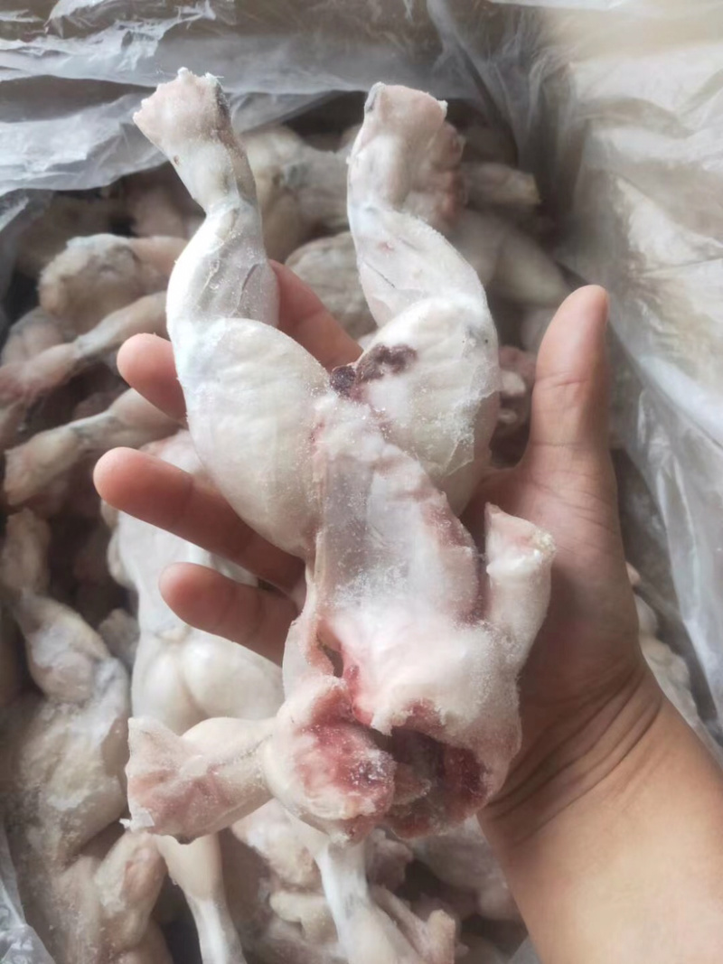 特级大牛蛙去皮去内脏牛蛙量大从优田鸡肉