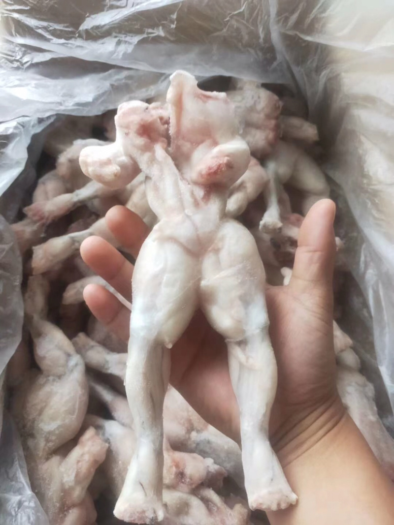 特级大牛蛙去皮去内脏牛蛙量大从优田鸡肉