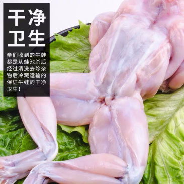 特级大牛蛙去皮去内脏牛蛙量大从优田鸡肉