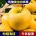 辽宁绥中黄元帅苹果,汁液丰富,甜酸适口,视频看货,量大从优