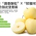 辽宁绥中黄元帅苹果,汁液丰富,甜酸适口,视频看货,量大从优