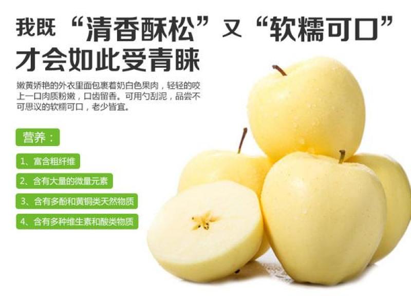 辽宁绥中黄元帅苹果，汁液丰富，甜酸适口，视频看货，量大从优