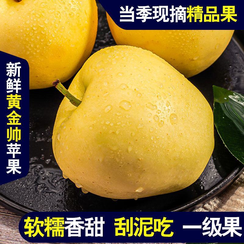 辽宁绥中黄元帅苹果，汁液丰富，甜酸适口，视频看货，量大从优