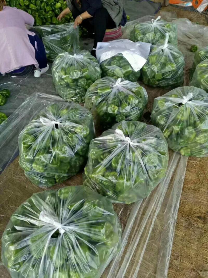 青州圆椒，彩椒！！！！！！！！！！！！！！！！！