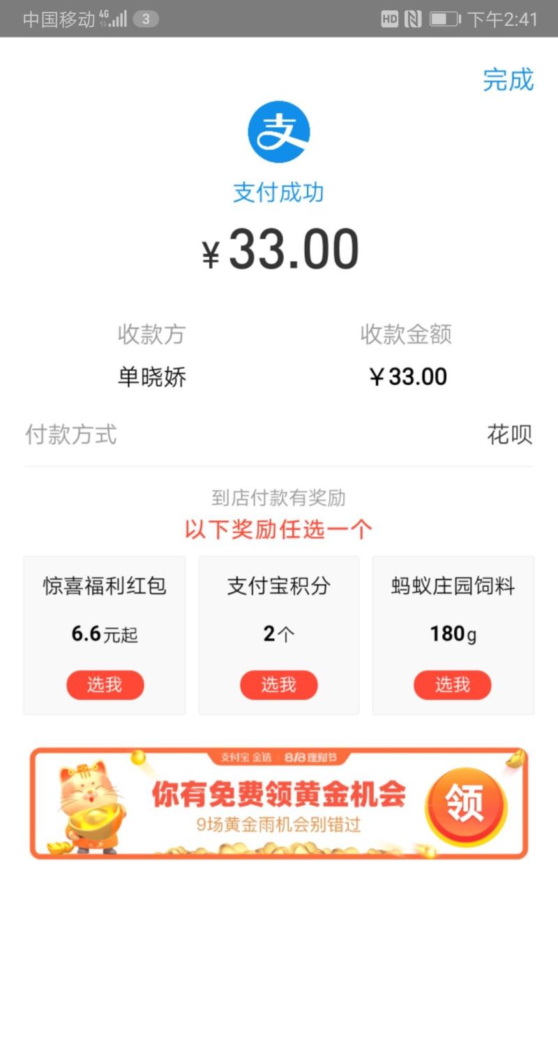进口郁金香种球耐寒室内盆栽花卉绿植郁金香花苗四季可播