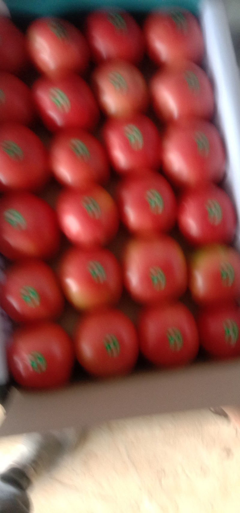 精品西红柿粉果，红果。大量供应。