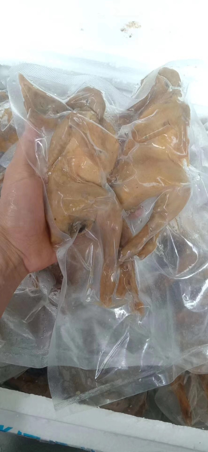 鹧鸪鹧鸪白条鹧鸪批发石鸡飞龙鸟冻鹧鸪冻品真空