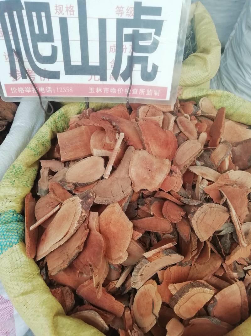 爬山虎中药材枫藤爬墙虎假葡萄藤走游藤