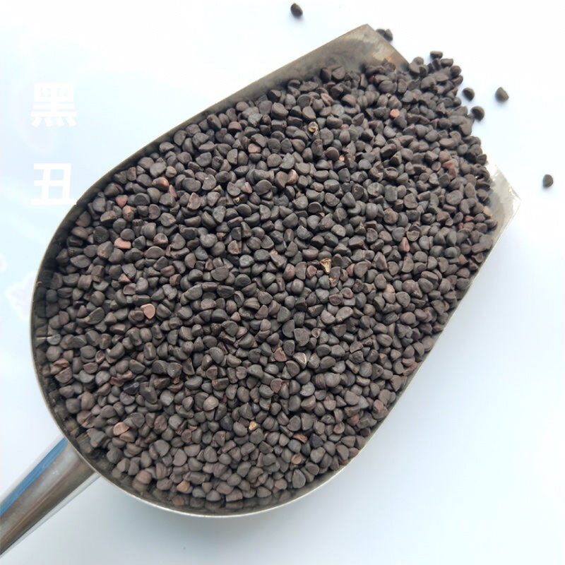 黑丑牵牛子保庆药业批发黑丑实物拍摄盗图必究
