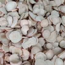 中药材批发白芍有大量货源货对板欢迎四面八方的朋友来选购