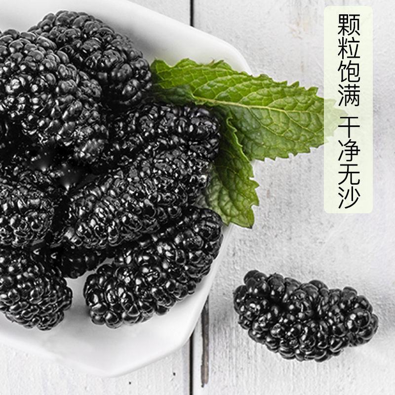 黑桑葚干500g新鲜野生免洗黑桑椹子即食泡水新疆水果干蜜