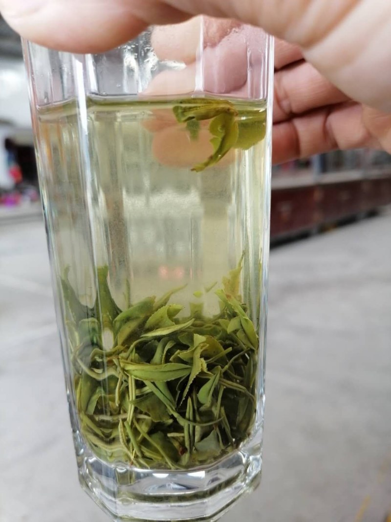 恩施富硒绿茶明前绿茶