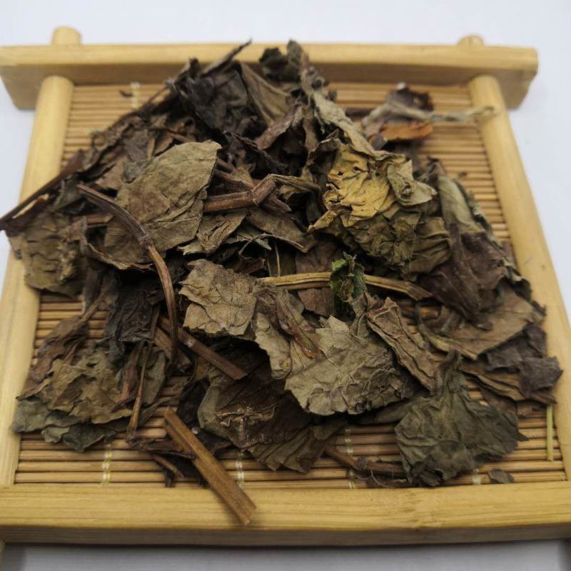 鱼腥草中药材批发鱼腥草
