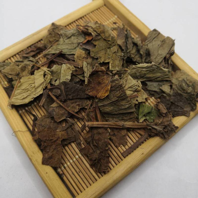 鱼腥草中药材批发鱼腥草