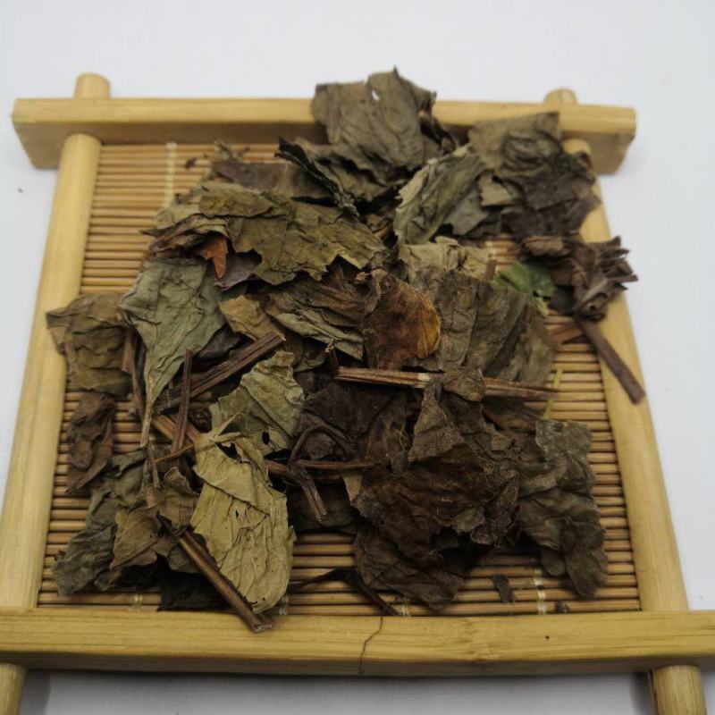 鱼腥草中药材批发鱼腥草