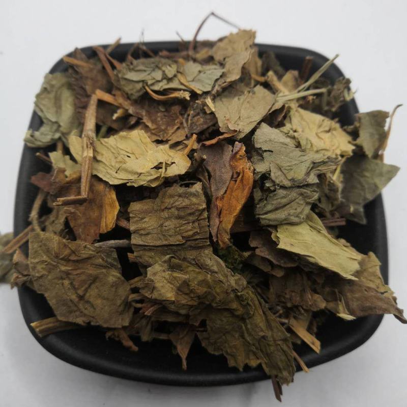 鱼腥草中药材批发鱼腥草