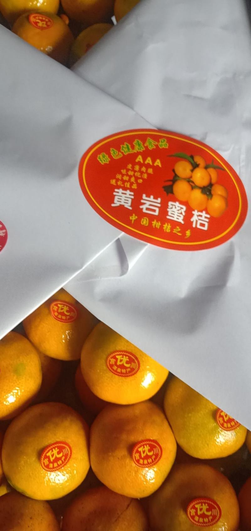 【蜜桔】浙江蜜橘皮薄多汁现摘现发一手货源欢迎咨询