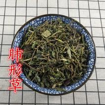 肺形草500g铁交怀蝴蝶草金丝蝴蝶非野生中药