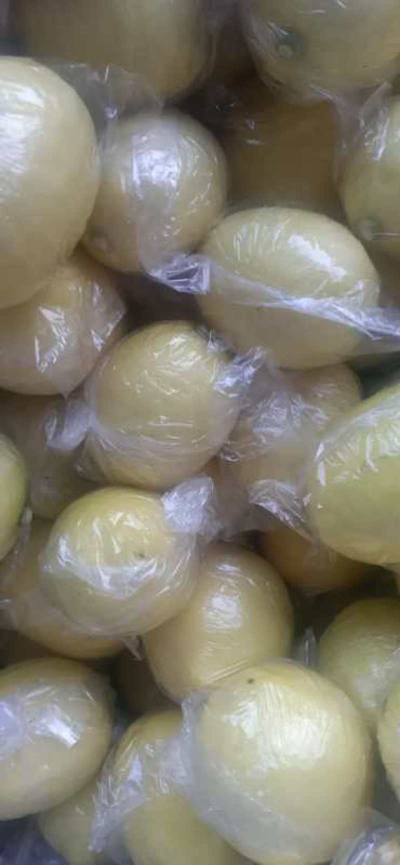 柠檬，欢迎新朋友订购。安岳柠檬，大量出货，有机品质，