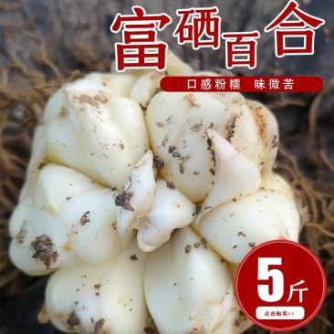 21年现挖新鲜蔬菜卷丹百合恩施富硒土地种植药食同源农产品