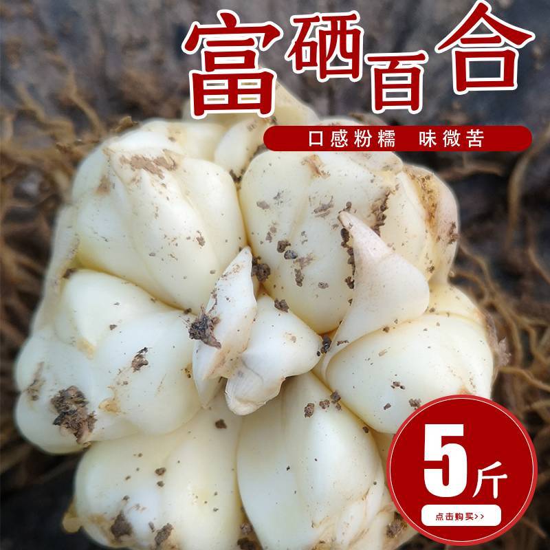 21年现挖新鲜蔬菜卷丹百合恩施富硒土地种植药食同源农产品