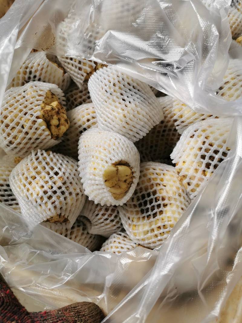 21年现挖新鲜蔬菜卷丹百合恩施富硒土地种植药食同源农产品