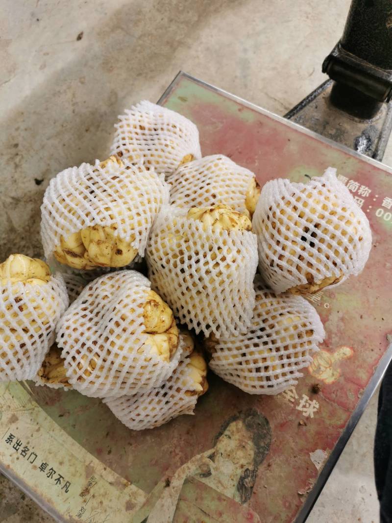 21年现挖新鲜蔬菜卷丹百合恩施富硒土地种植药食同源农产品