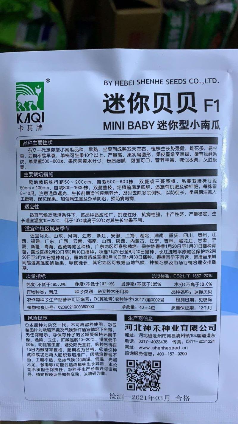 贝贝南瓜种子迷你小贝贝种子基地种植效果非常好品种子