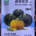 贝贝南瓜种子迷你小贝贝种子基地种植效果非常好品种子