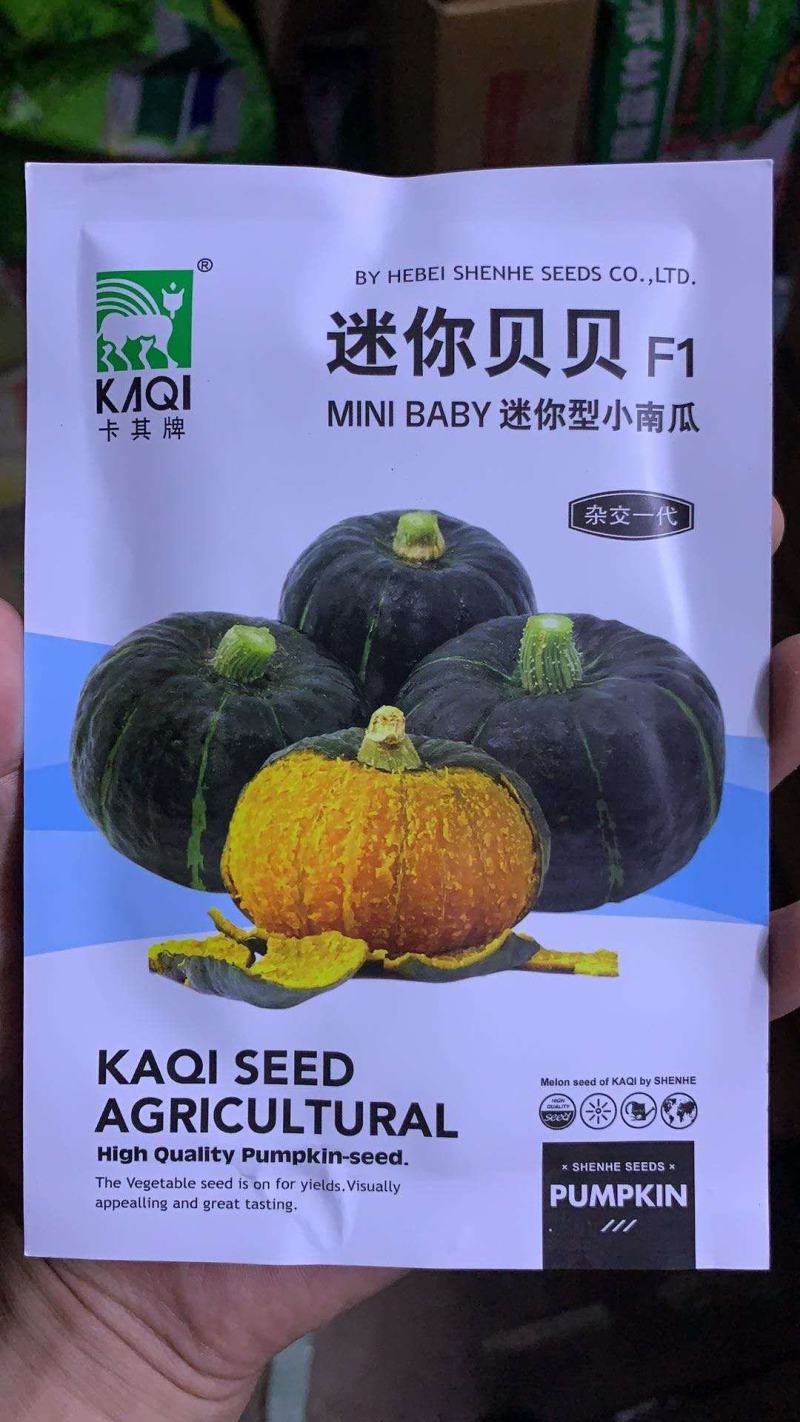 贝贝南瓜种子迷你小贝贝种子基地种植效果非常好品种子