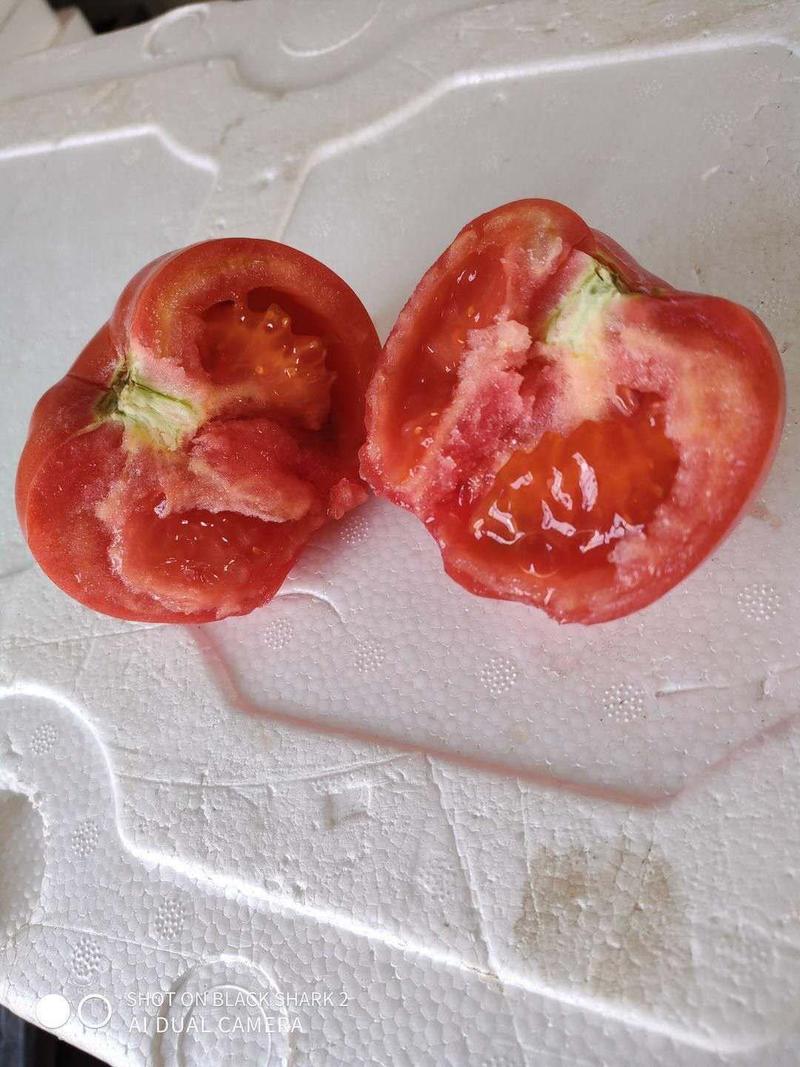 精品“西红柿个头饱满，产地直供，超市直供