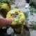 花生，现货，带壳，鲜货，一手货源价格优惠