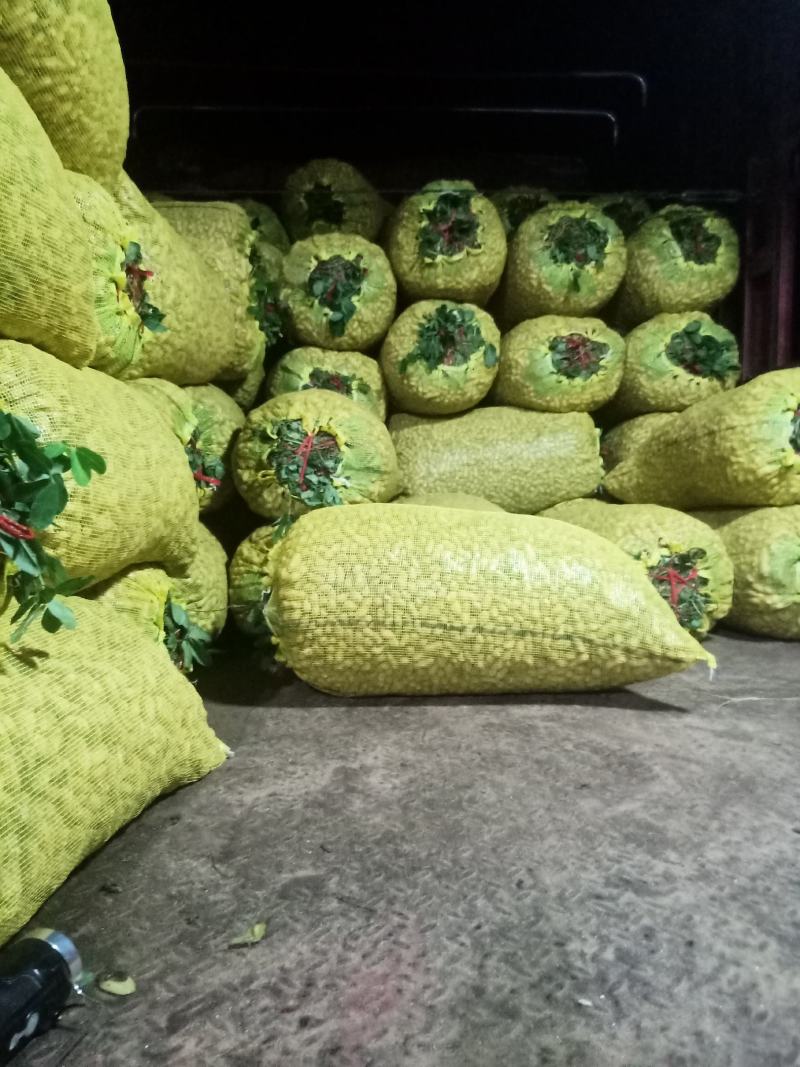 花生，现货，带壳，鲜货，一手货源价格优惠