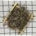猪殃殃500g猪秧秧八仙草锯子草拉拉藤非野生中药