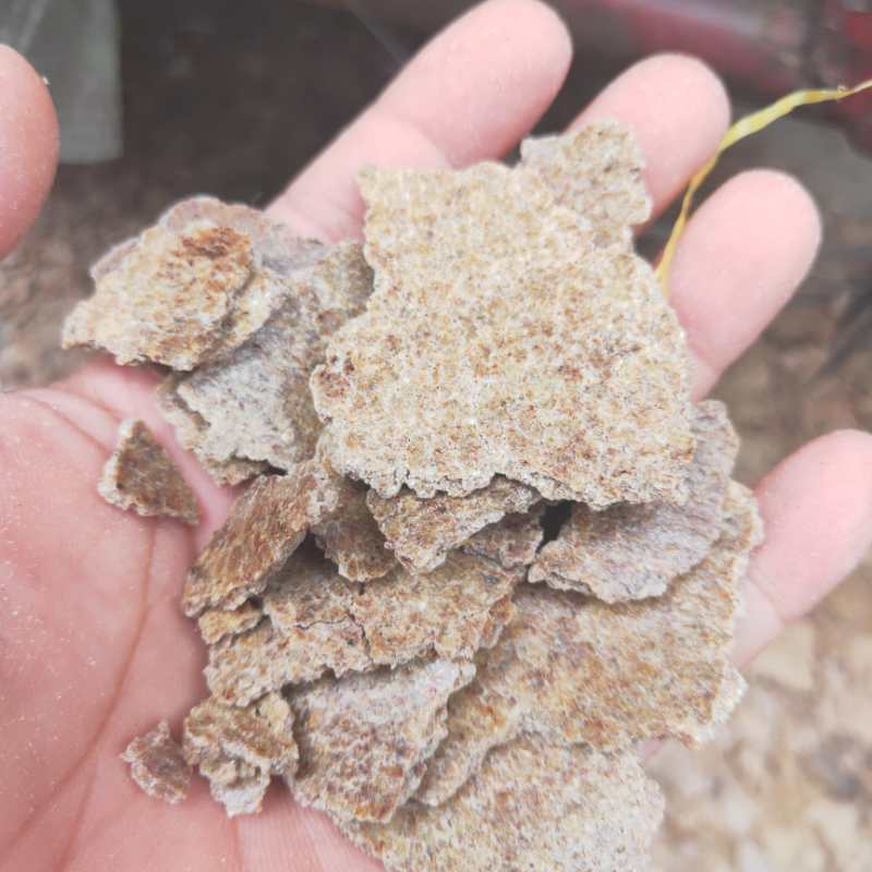 大量促销正宗花生饼加工精致货源充足价格低廉实惠