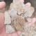 大量促销正宗花生饼加工精致货源充足价格低廉实惠