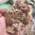 大量促销正宗花生饼加工精致货源充足价格低廉实惠