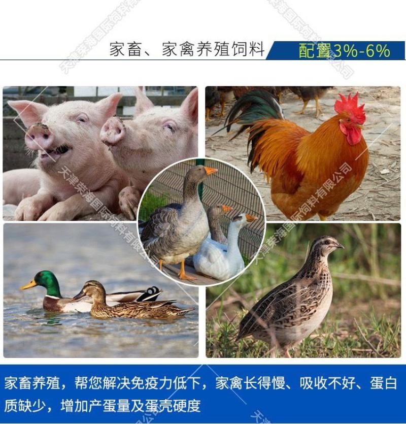 骨粉/鱼粉/骨粉饲料/鱼粉/天津鱼粉/脱脂鱼粉