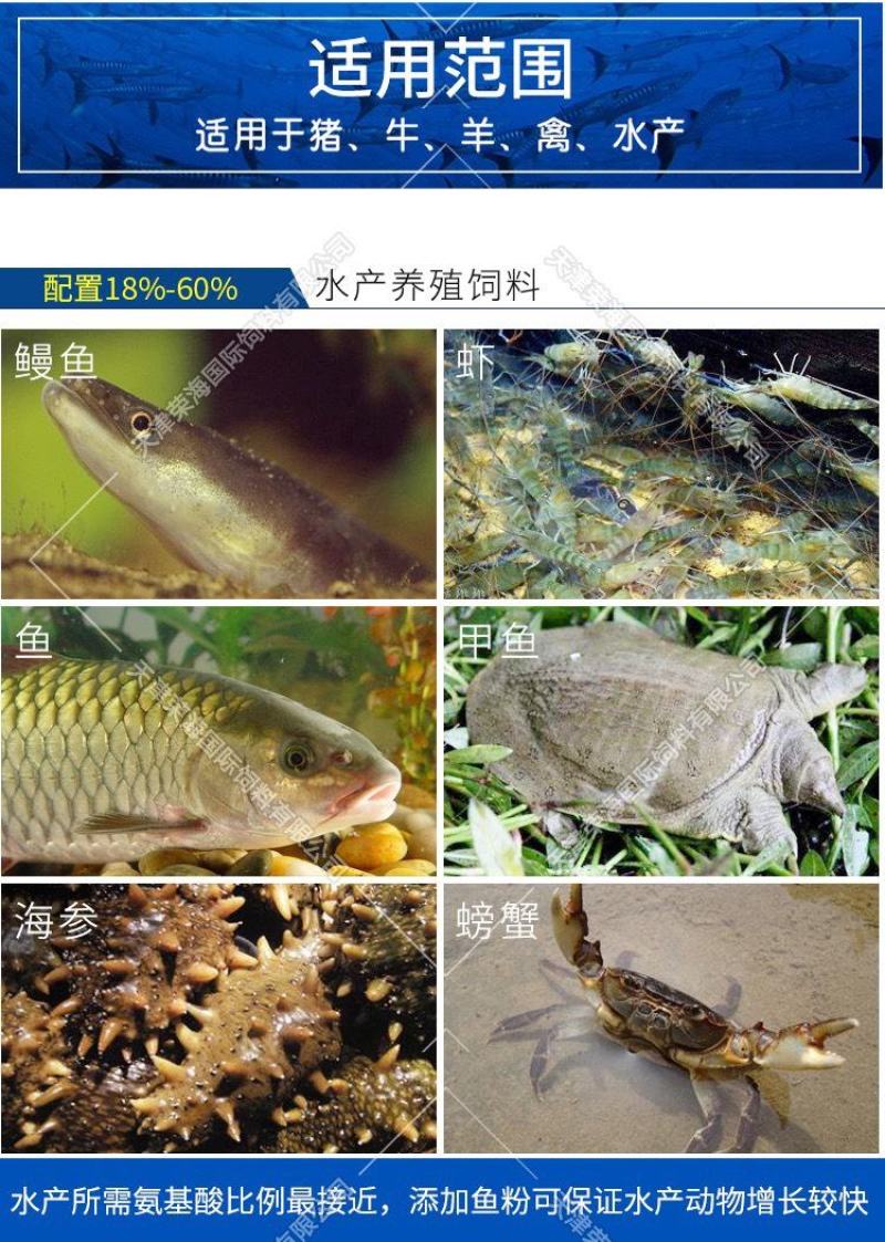 骨粉/鱼粉/骨粉饲料/鱼粉/天津鱼粉/脱脂鱼粉