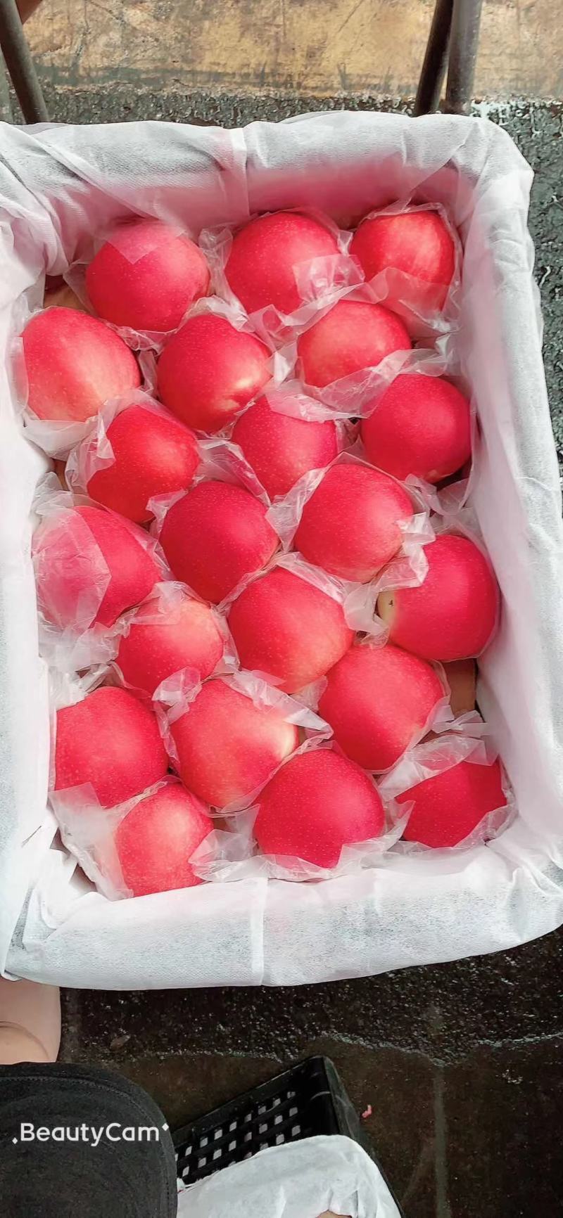 绥中红嘎啦纸袋大量出库啦口感甜脆产地货源充足，代办代发
