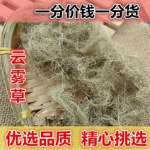 云雾草松萝老君须500g长天蓬草金线草树挂