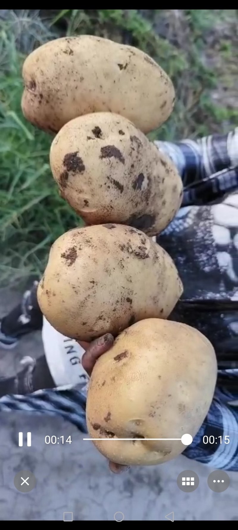 商品尤金885大量供应需要的来吧