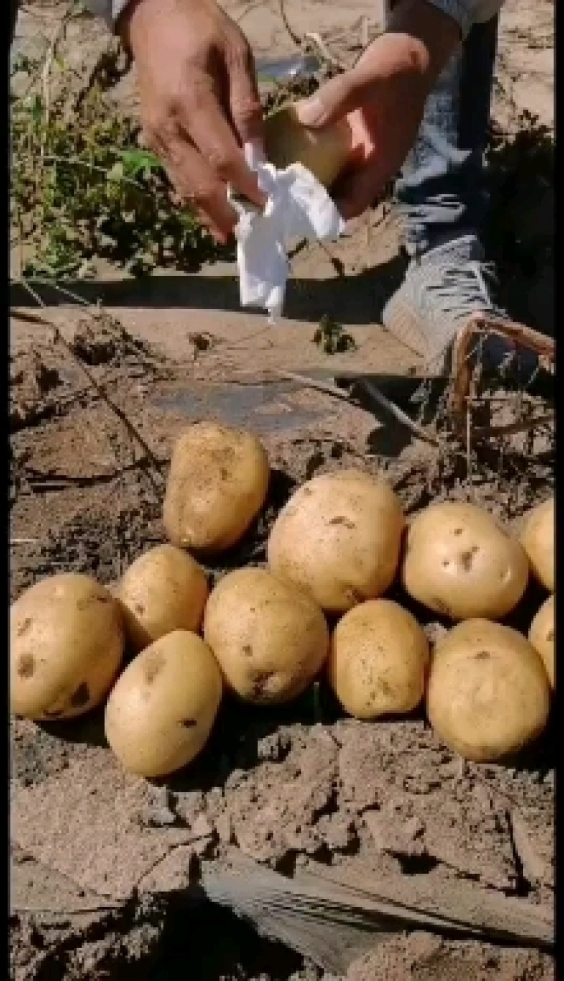 商品尤金885大量供应需要的来吧
