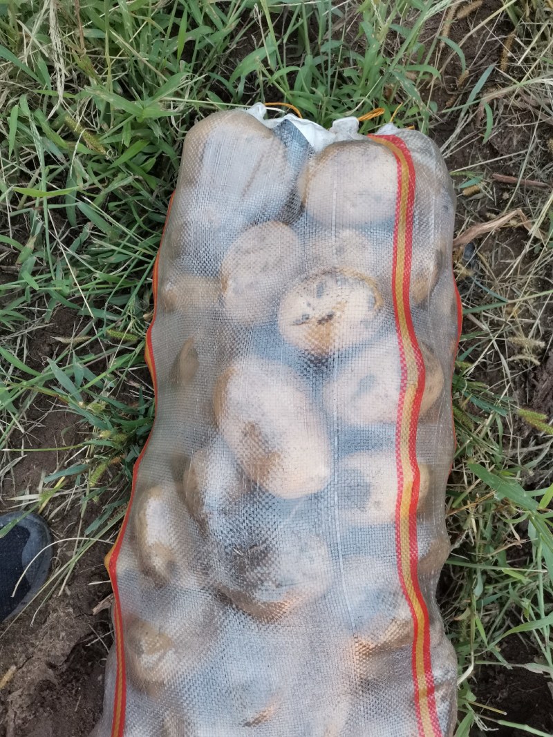 商品尤金885大量供应需要的来吧