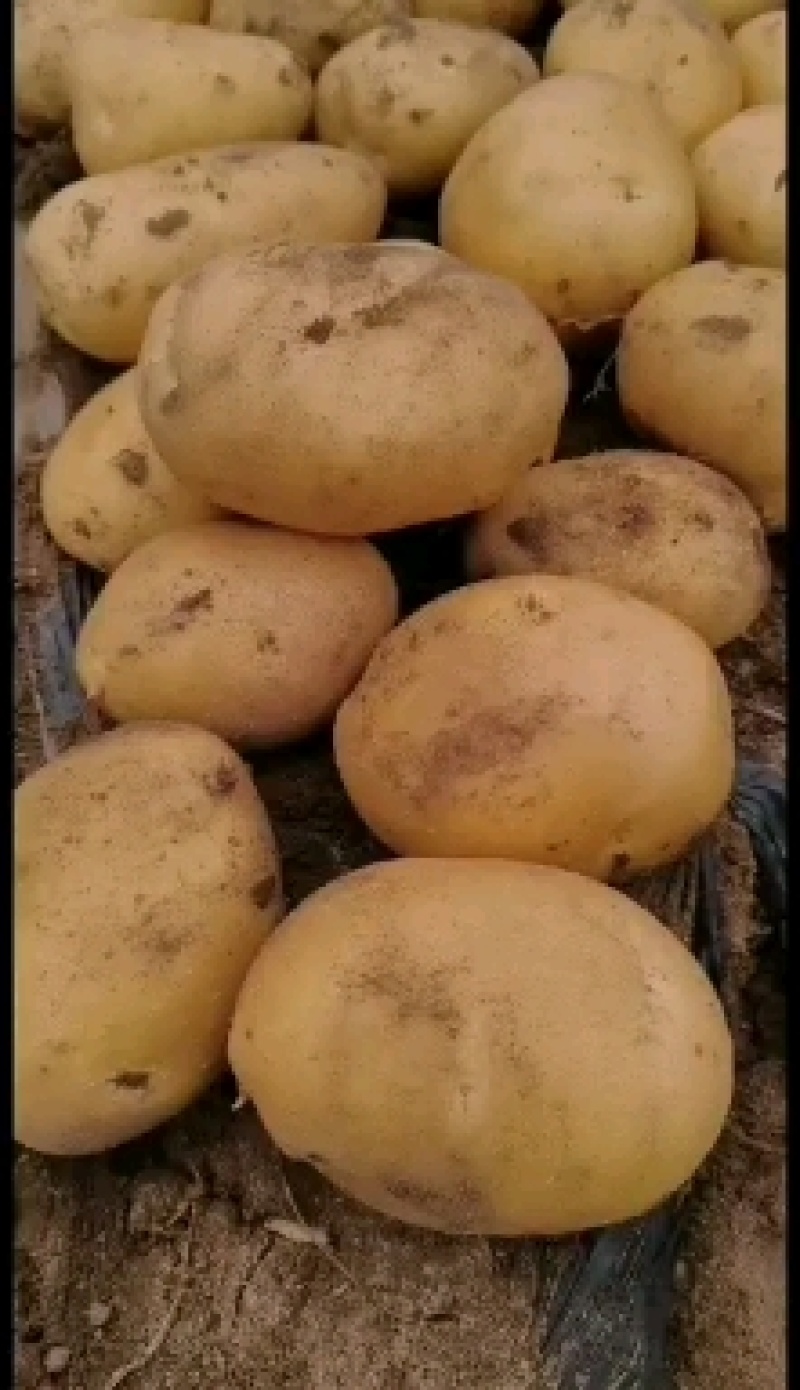 商品尤金885大量供应需要的来吧